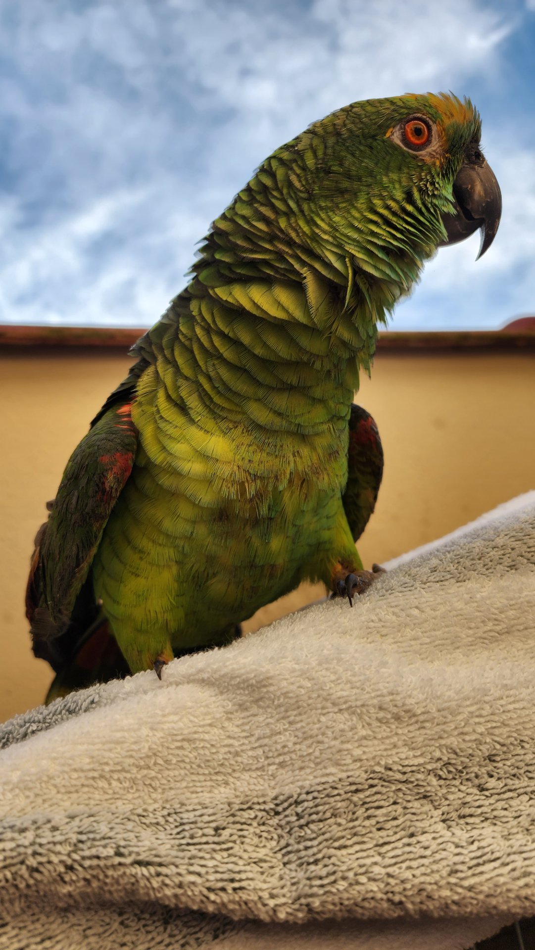 https://xmpp.macaw.me/upload/fd7e6dd84ba3a2dddb8c4e0fdfc26b3b0c704913/FP4X96lxApNcYLOtdn89C4wP6Jc4t1QcPrOKmdKP/20221209_174430.jpg