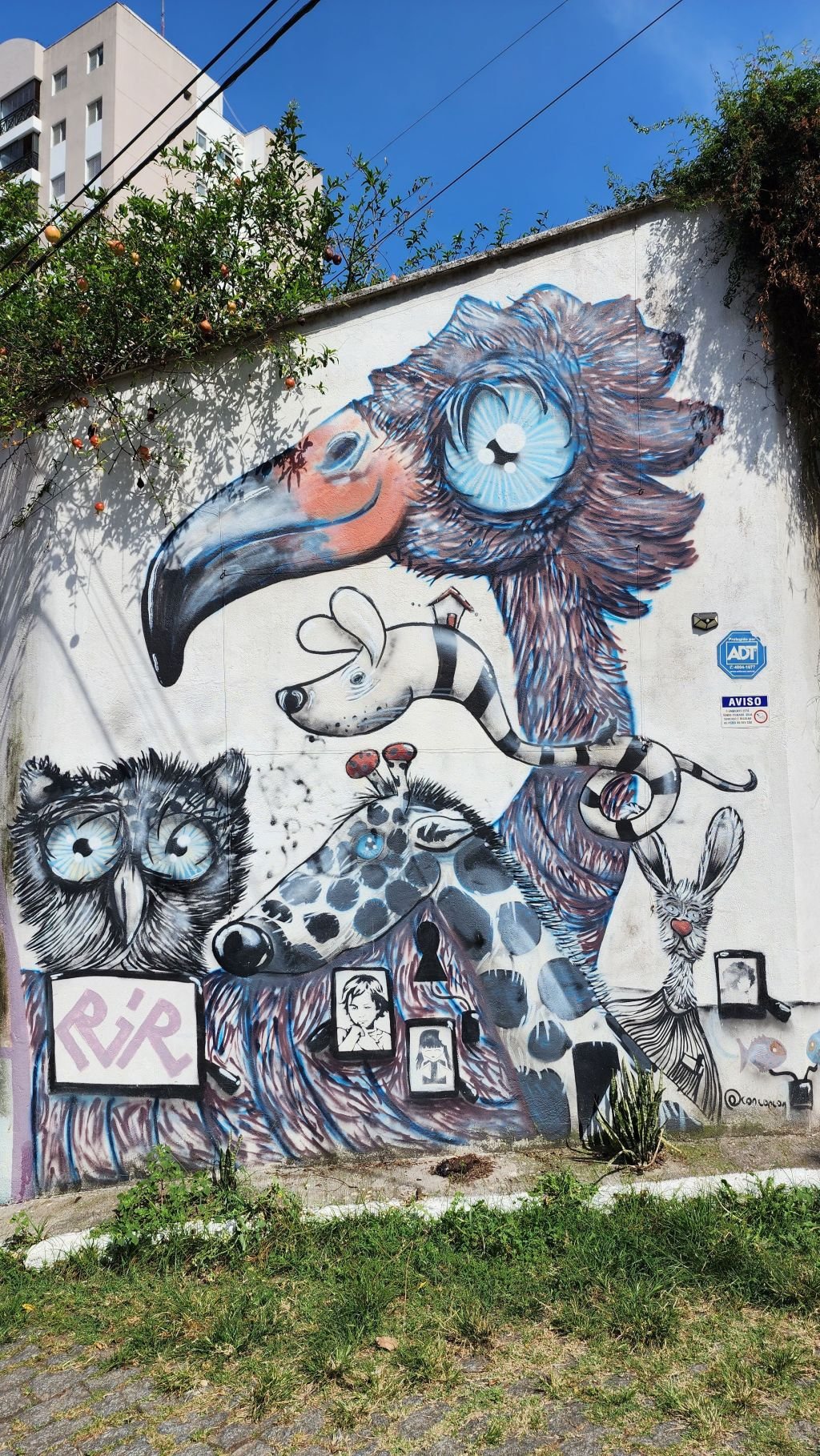 https://xmpp.macaw.me/upload/fd7e6dd84ba3a2dddb8c4e0fdfc26b3b0c704913/StbaoNaVE0U1bl8Y6dCQao3zI1sZQ4Z6wTWJnPMM/image.png.jpg