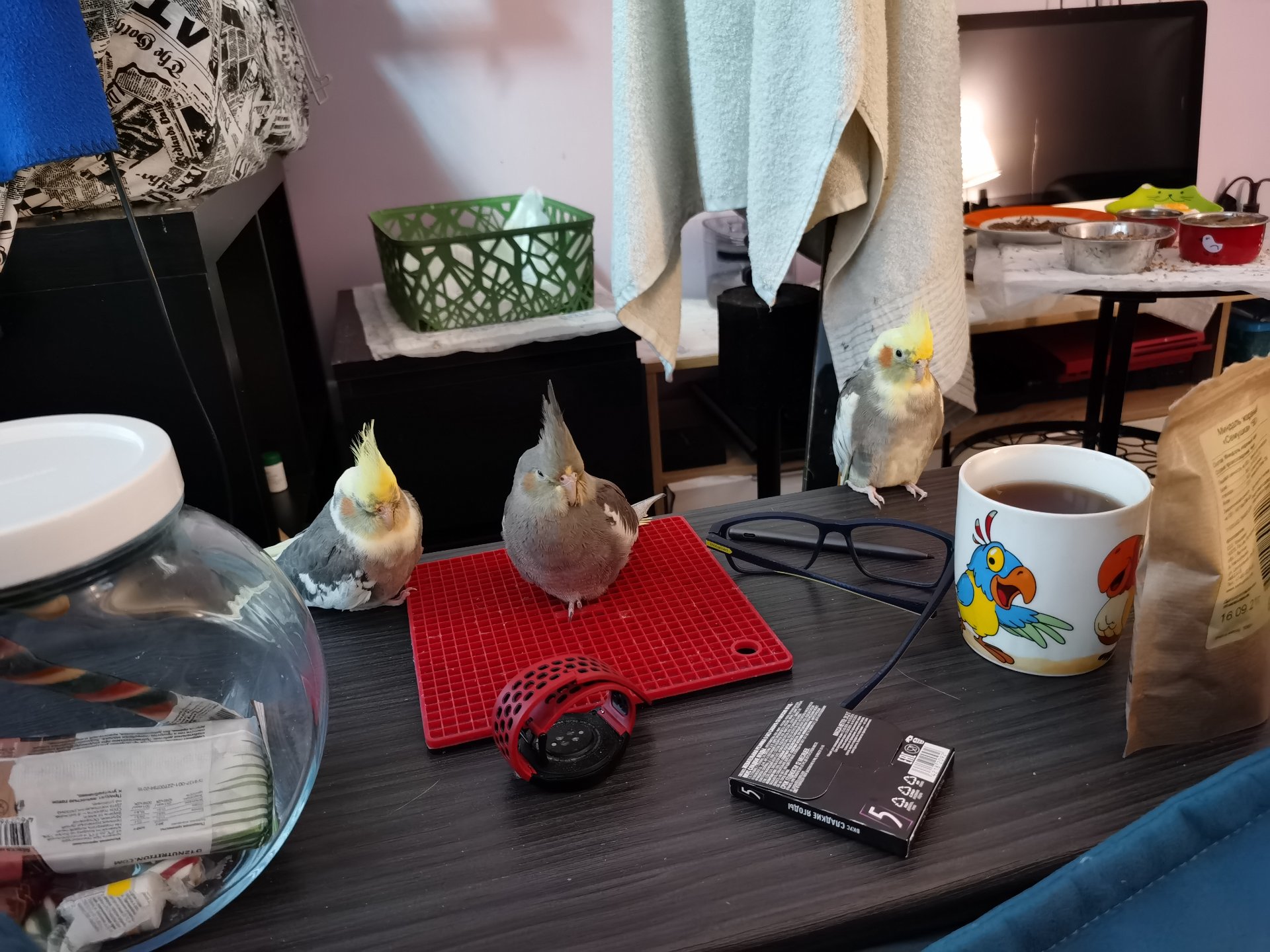 https://xmpp.macaw.me/upload/fd7e6dd84ba3a2dddb8c4e0fdfc26b3b0c704913/zBcMpoxMfgOcifF7WHLuGV4eETbcUKMr1UAOu8cg/IMG_20211022_163651.jpg
